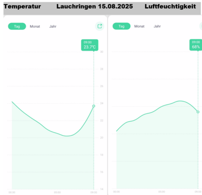 Selbst im grünen Garten nicht weniger als 20 Grad in der Nacht